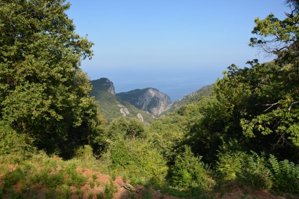 Πήλιο