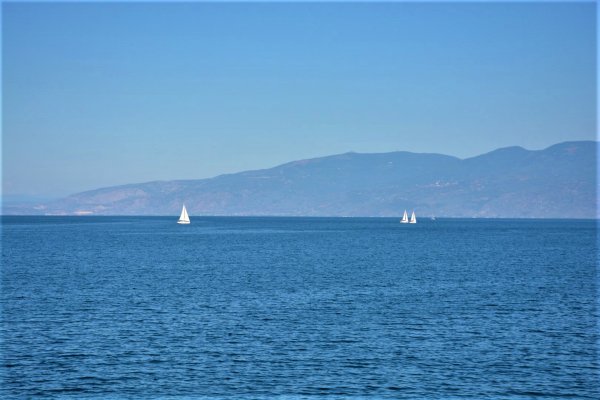 Πήλιο