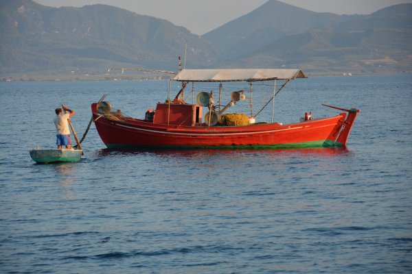 Πήλιο