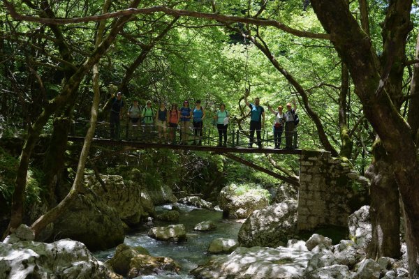 Νότια Πίνδος