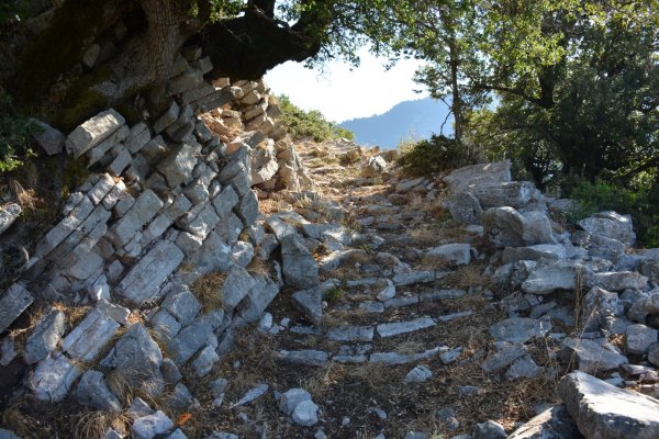 Νότια Πίνδος