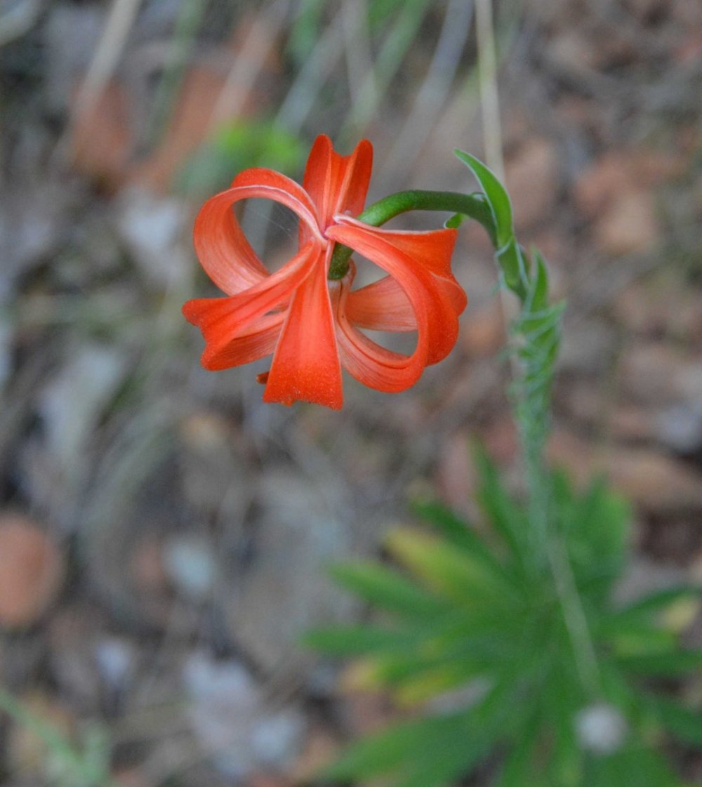 Photo Gallery